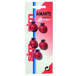 Blister de 5 aimants multicouleurs